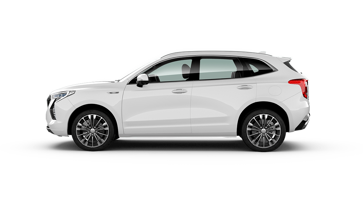 GWM GWM HAVAL Jolion